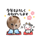 茶とらのあいすくん。ときどききゃめる（個別スタンプ：35）