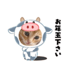 茶とらのあいすくん。ときどききゃめる（個別スタンプ：36）