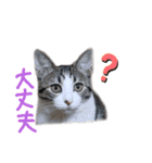 ぺこ＆ころん（個別スタンプ：12）