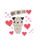 ツンデレ せんべいpug（個別スタンプ：8）