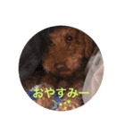 イチと愉快な仲間たち（個別スタンプ：8）