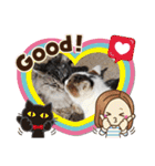 野良猫だらけ2020（個別スタンプ：12）
