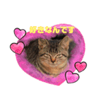 野良猫だらけ2020（個別スタンプ：24）