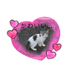 野良猫だらけ2020（個別スタンプ：30）