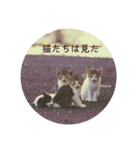 野良猫だらけ2020（個別スタンプ：35）