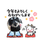 シュナウザー リーちゃん年賀状（個別スタンプ：8）