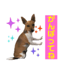 minifoxyしめじと愉快な仲間たち2（個別スタンプ：9）