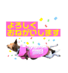 minifoxyしめじと愉快な仲間たち2（個別スタンプ：10）