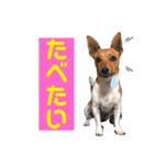 minifoxyしめじと愉快な仲間たち2（個別スタンプ：18）