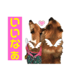 minifoxyしめじと愉快な仲間たち2（個別スタンプ：20）