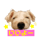 minifoxyしめじと愉快な仲間たち2（個別スタンプ：28）