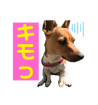 minifoxyしめじと愉快な仲間たち2（個別スタンプ：29）