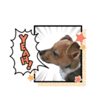 minifoxyしめじと愉快な仲間たち2（個別スタンプ：34）