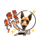 minifoxyしめじと愉快な仲間たち2（個別スタンプ：36）