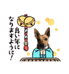 minifoxyしめじと愉快な仲間たち2（個別スタンプ：37）