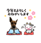 minifoxyしめじと愉快な仲間たち2（個別スタンプ：38）