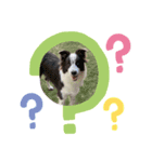 dogのいる暮らし♡（個別スタンプ：4）
