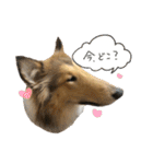 El Niño（個別スタンプ：4）