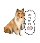 El Niño（個別スタンプ：5）