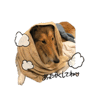 El Niño（個別スタンプ：7）
