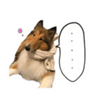 El Niño（個別スタンプ：9）