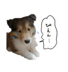 El Niño（個別スタンプ：11）
