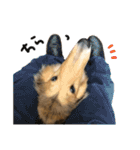 El Niño（個別スタンプ：13）