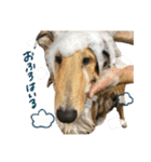 El Niño（個別スタンプ：14）