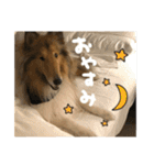 El Niño（個別スタンプ：18）