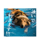 El Niño（個別スタンプ：19）