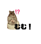ちびハムちゃん7（個別スタンプ：1）
