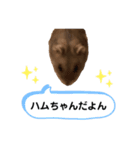 ちびハムちゃん7（個別スタンプ：4）