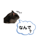 ちびハムちゃん7（個別スタンプ：6）