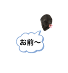 ちびハムちゃん7（個別スタンプ：16）