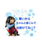 ミニチュアダックスの気ままなランチ⑤（個別スタンプ：1）