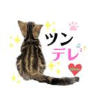 ひまニャン2（個別スタンプ：2）
