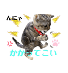 ひまニャン2（個別スタンプ：4）