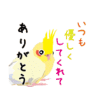 冬の可愛いインコ（個別スタンプ：19）