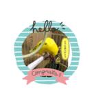 セキセイインコのスタンプ  その2（個別スタンプ：1）