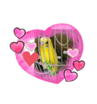 セキセイインコのスタンプ  その2（個別スタンプ：2）