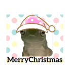 イエアメガエル Merry Christmas（個別スタンプ：11）