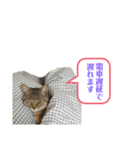 猫さんの仕事用スタンプ（個別スタンプ：3）