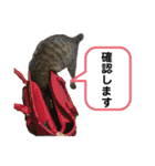 猫さんの仕事用スタンプ（個別スタンプ：34）