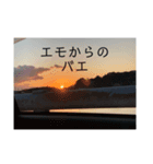 バエ（個別スタンプ：3）