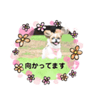 めいつく姉妹（個別スタンプ：6）