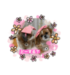 めいつく姉妹（個別スタンプ：7）