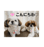 めいつく姉妹（個別スタンプ：8）