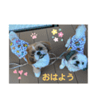 めいつく姉妹（個別スタンプ：10）