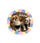 めいつく姉妹（個別スタンプ：14）