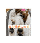めいつく姉妹（個別スタンプ：17）